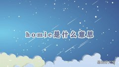 homie是什么意思