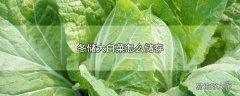 冬储大白菜怎么储存