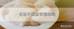 白柚子有点苦能吃吗