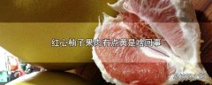 红心柚子果肉有点黄是啥回事