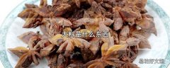 大料是什么东西