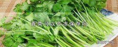 香菜可以冷冻保存吗