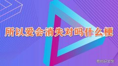 所以爱会消失对吗什么梗