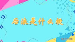 后浪是什么梗