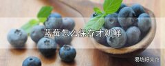 蓝莓怎么保存才新鲜