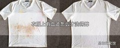 衣服上有血迹怎么才洗得掉