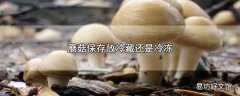 蘑菇保存放冷藏还是冷冻