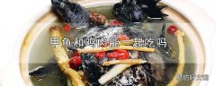 甲鱼和鸡肉能一起吃吗