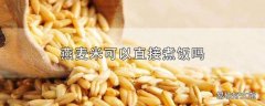 燕麦米可以直接煮饭吗