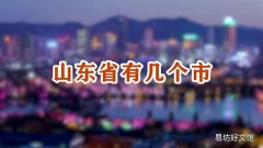 山东省有几个市