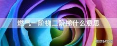 燃气一阶梯二阶梯什么意思