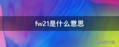 fw21是什么意思