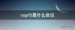 cop15是什么会议