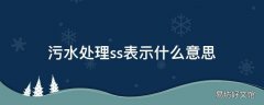 污水处理ss表示什么意思