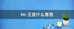 Mr.王是什么意思