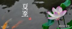 临海夏至吃什么