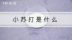 小苏打是什么