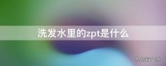 洗发水里的zpt是什么