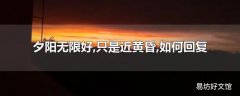 夕阳无限好,只是近黄昏,如何回复