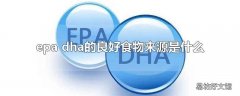 epa dha的良好食物来源是什么