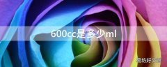 600cc是多少ml