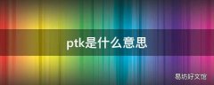 ptk是什么意思