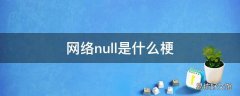 网络null是什么梗