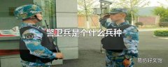 警卫兵是个什么兵种