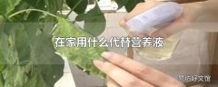 在家用什么代替营养液