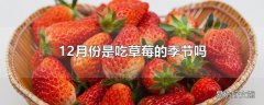 12月份是吃草莓的季节吗