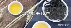 雪片茶属于什么茶