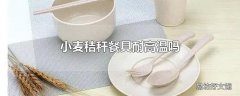 小麦秸秆餐具耐高温吗