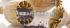 大烟是从什么提炼出来的