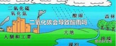 二氧化碳会导致酸雨吗