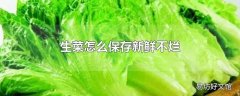 生菜怎么保存新鲜不烂