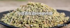 小茴香在调料中的作用