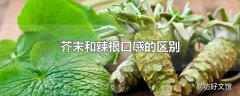 芥末和辣根口感的区别