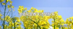 油菜花是春天还是秋天