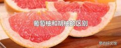 葡萄柚和胡柚的区别