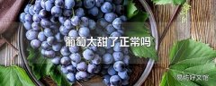 葡萄太甜了正常吗