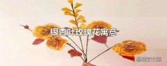 银杏叶玫瑰花寓意