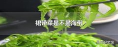 裙带菜是不是海带