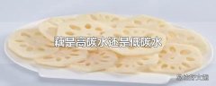 藕是高碳水还是低碳水