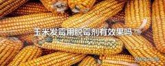 玉米发霉用脱霉剂有效果吗