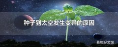 种子到太空发生变异的原因