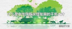 什么是中华民族永续发展的千年大计