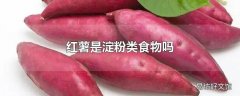 红薯是淀粉类食物吗