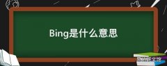 Bing是什么意思