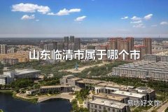 山东临清市属于哪个市 山东临清市的行政区划