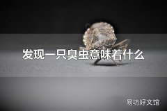 发现一只臭虫意味着什么 发现一只臭虫意味着环境潮湿